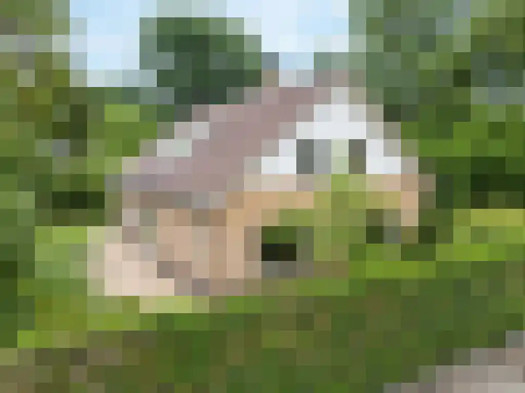 Reeënspoor 5 Hoevelaken foto 3