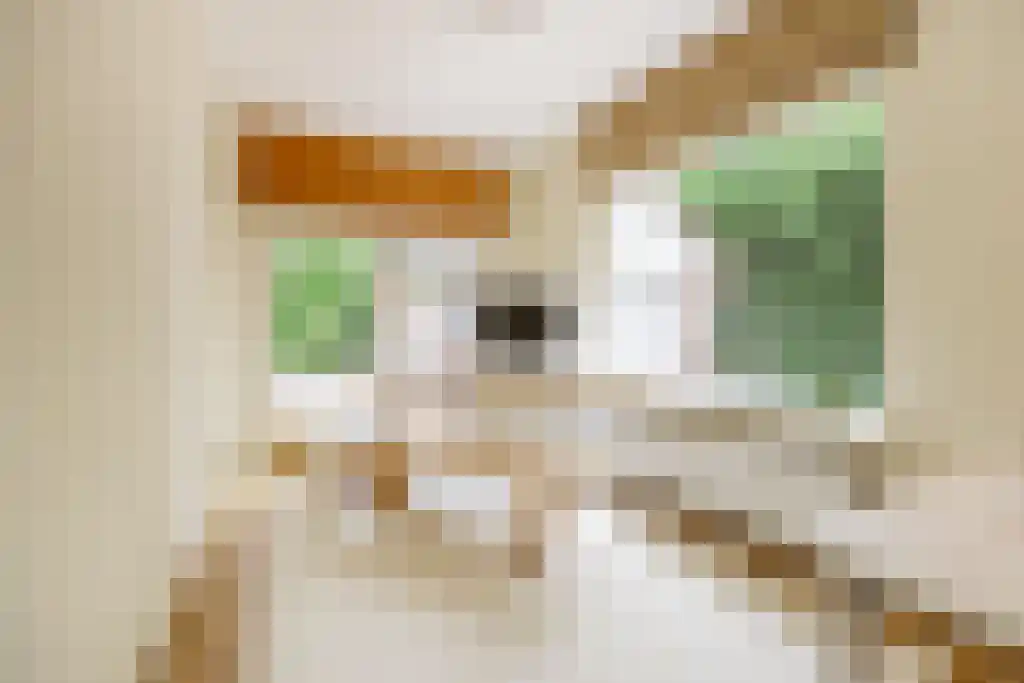 Reeënspoor 5 Hoevelaken thumbnail 30