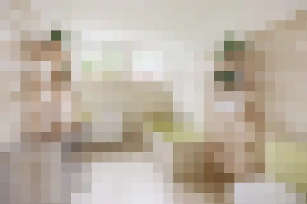 Reeënspoor 5 Hoevelaken thumbnail 44