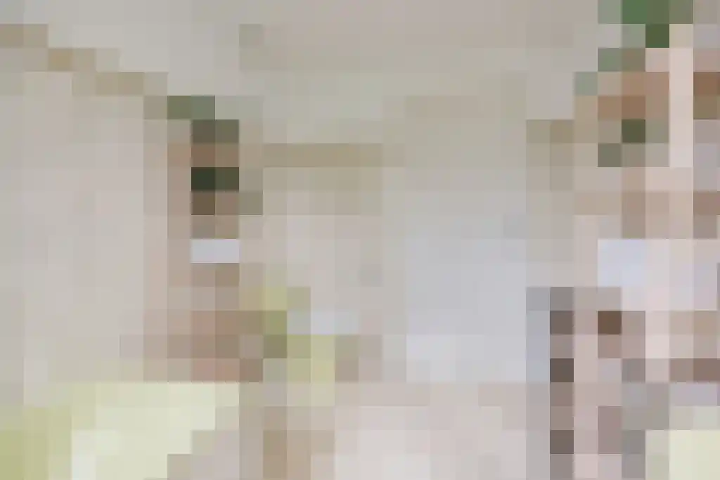 Reeënspoor 5 Hoevelaken thumbnail 45
