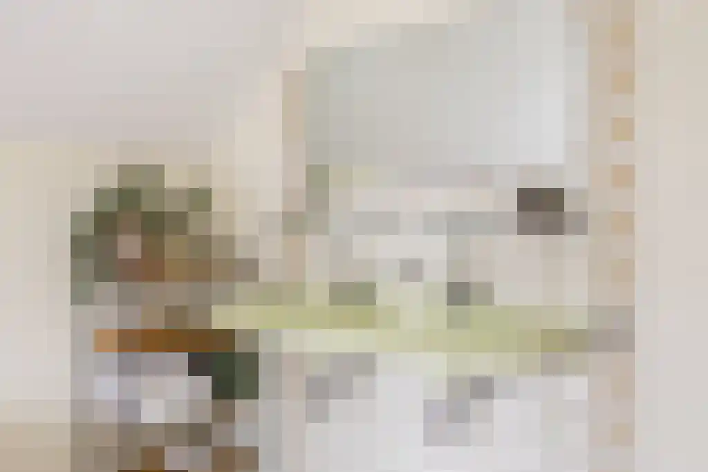 Reeënspoor 5 Hoevelaken thumbnail 48