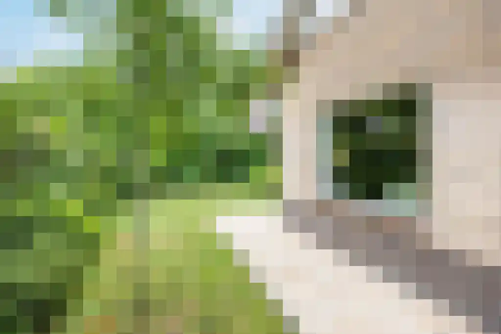 Reeënspoor 5 Hoevelaken thumbnail 58