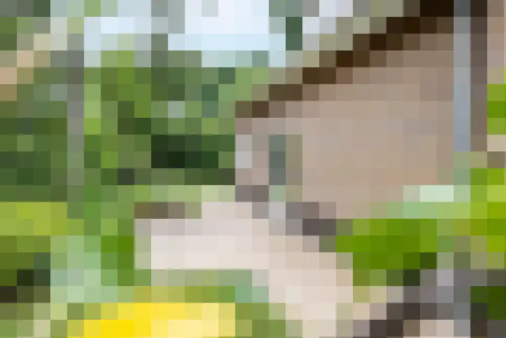 Reeënspoor 5 Hoevelaken thumbnail 60
