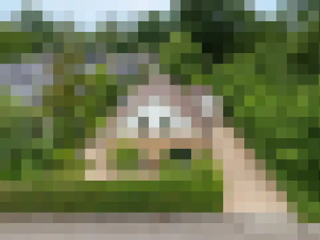 Reeënspoor 5 Hoevelaken thumbnail 61