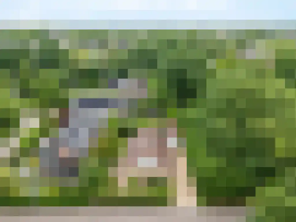 Reeënspoor 5 Hoevelaken thumbnail 62