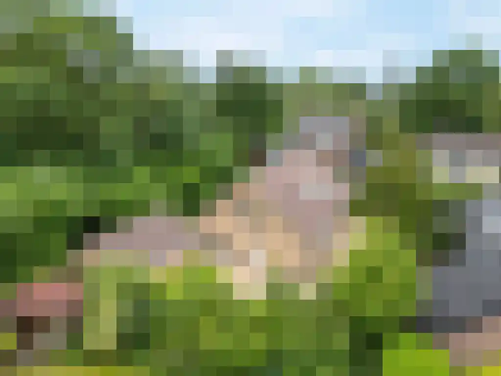 Reeënspoor 5 Hoevelaken thumbnail 63
