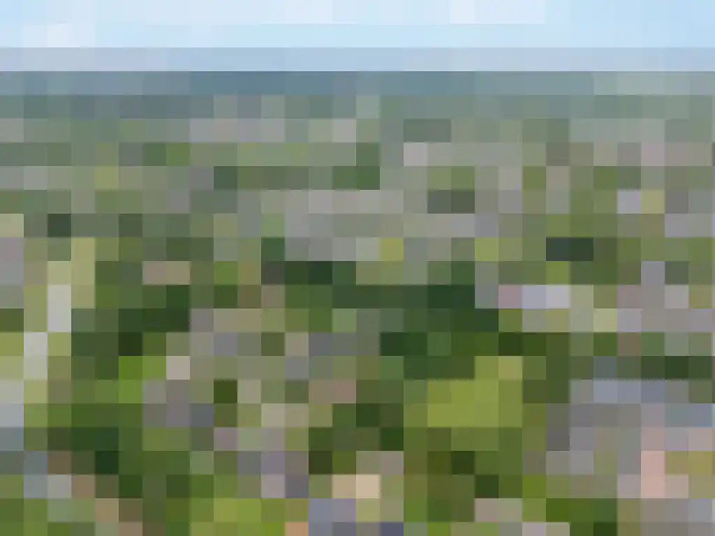 Reeënspoor 5 Hoevelaken thumbnail 66