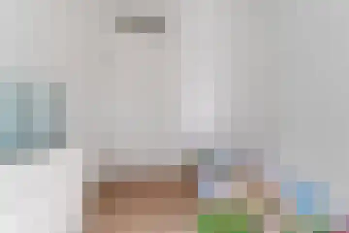Reefakker 9 Arnhem thumbnail 21