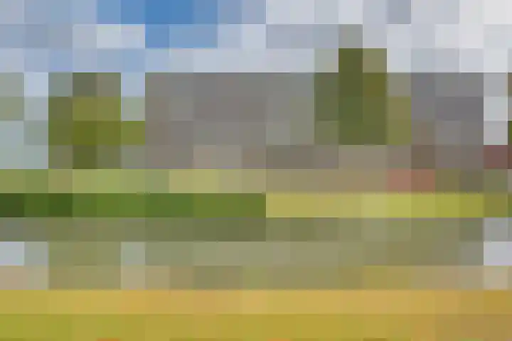 Reefakker 9 Arnhem thumbnail 38