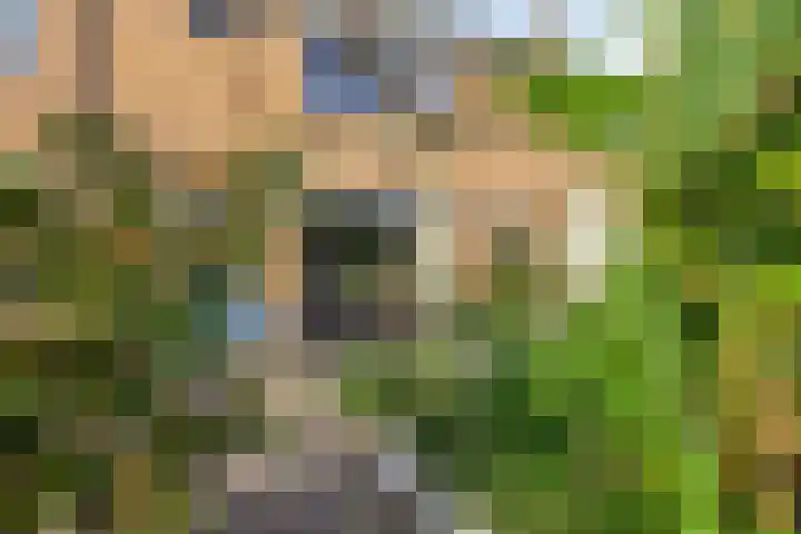 Reefakker 9 Arnhem thumbnail 43