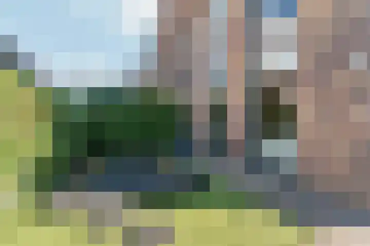 Reefakker 9 Arnhem thumbnail 46