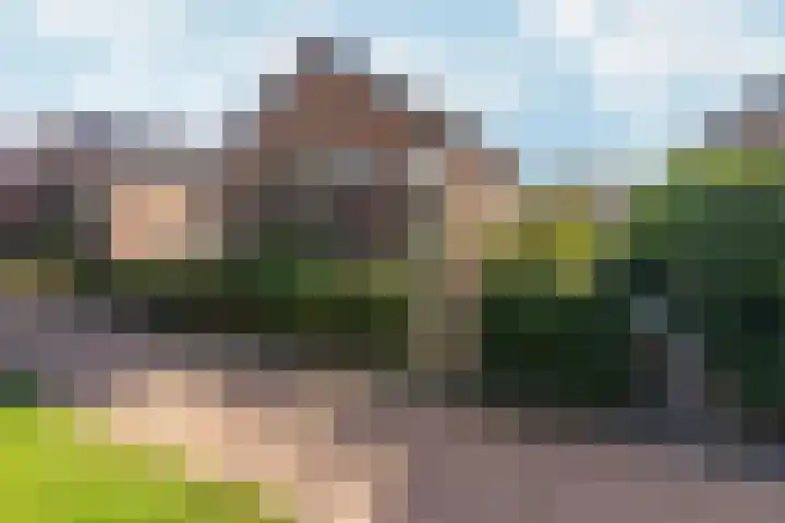 Reefakker 9 Arnhem thumbnail 47