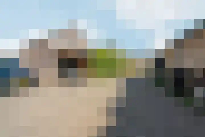 Reefakker 9 Arnhem thumbnail 48