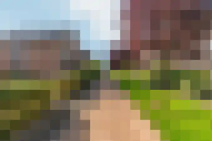 Reefakker 9 Arnhem thumbnail 51