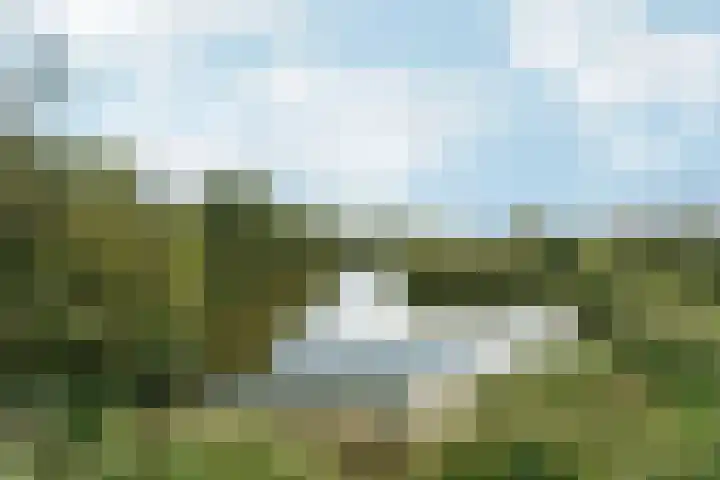 Reefakker 9 Arnhem thumbnail 56