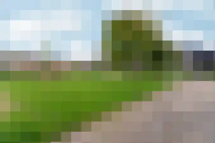 Reefakker 9 Arnhem thumbnail 57