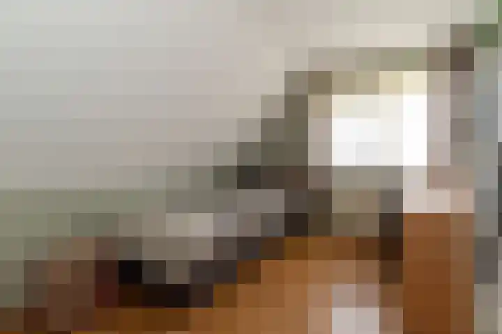 Reefsweg 5 Zenderen thumbnail 22