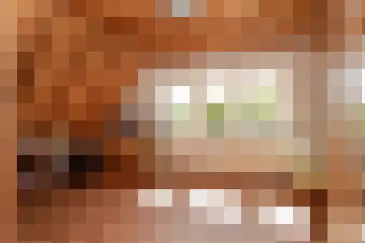 Reefsweg 5 Zenderen thumbnail 28