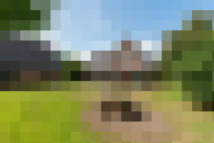 Reefsweg 5 Zenderen thumbnail 31