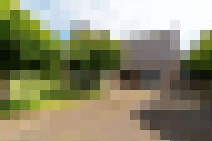 Reefsweg 5 Zenderen thumbnail 33