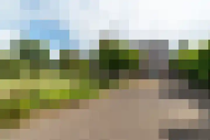 Reefsweg 5 Zenderen thumbnail 34