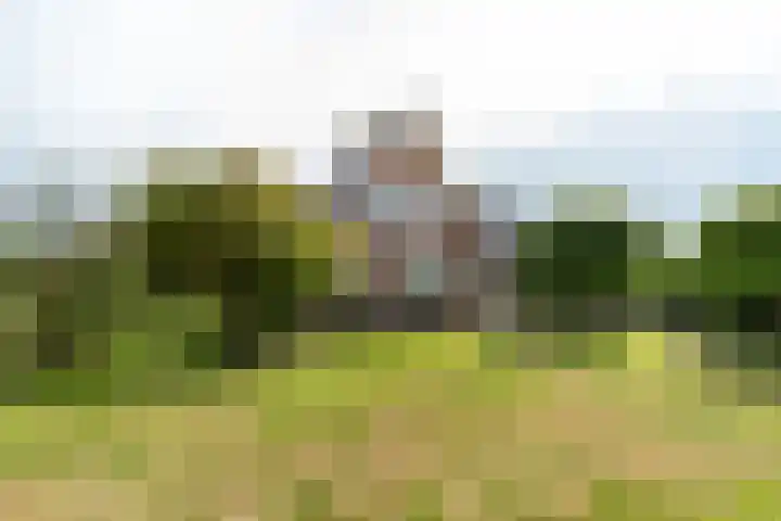 Reefsweg 5 Zenderen thumbnail 35