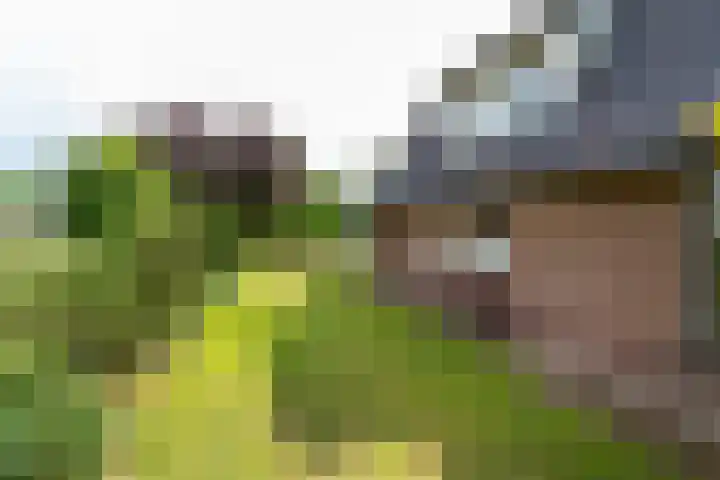 Reefsweg 5 Zenderen thumbnail 36