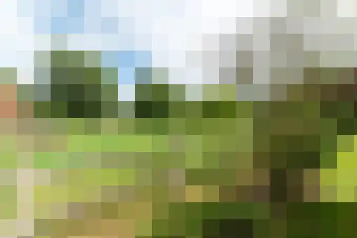 Reefsweg 5 Zenderen thumbnail 37