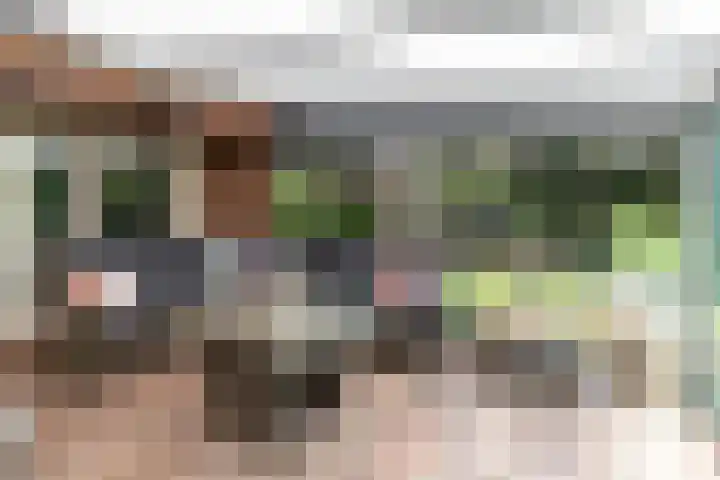 Reefsweg 5 Zenderen thumbnail 4