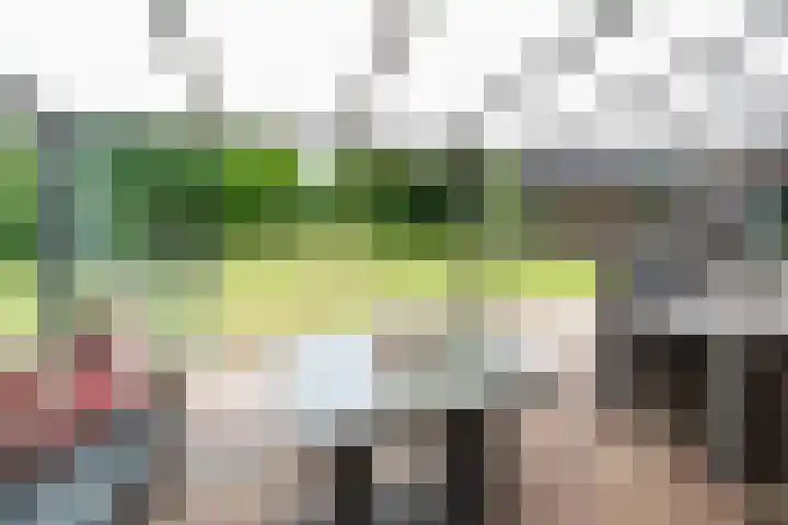 Reefsweg 5 Zenderen thumbnail 5