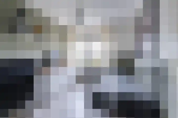 Reegreppel 3 Werkendam thumbnail 20