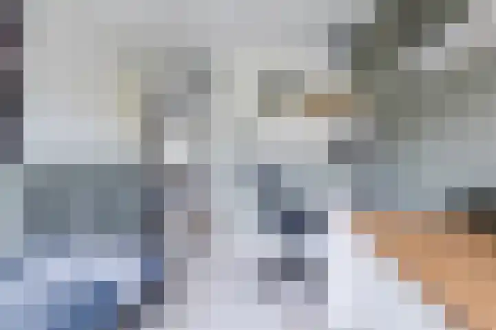 Reegreppel 3 Werkendam thumbnail 21