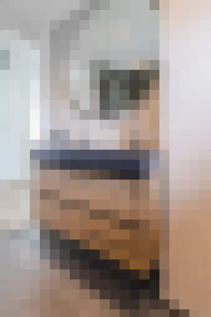 Reegreppel 3 Werkendam thumbnail 24