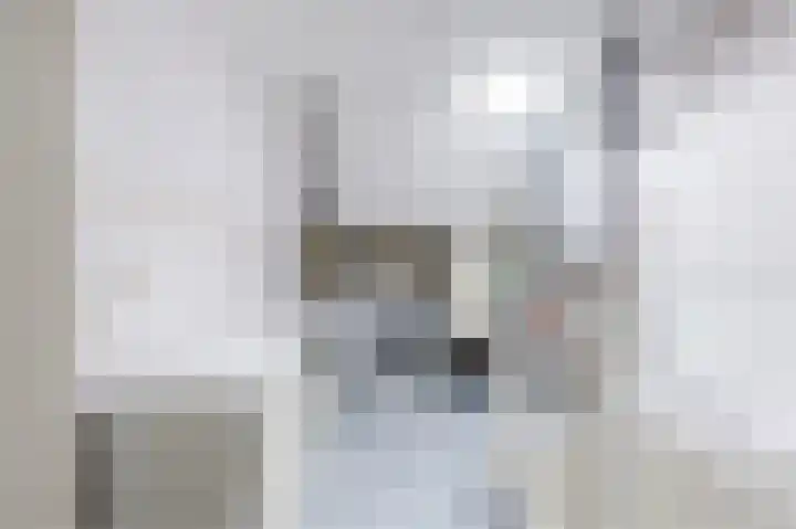 Reegreppel 3 Werkendam thumbnail 26