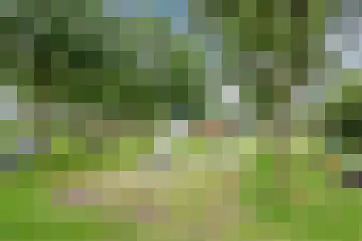 Reegreppel 3 Werkendam thumbnail 45