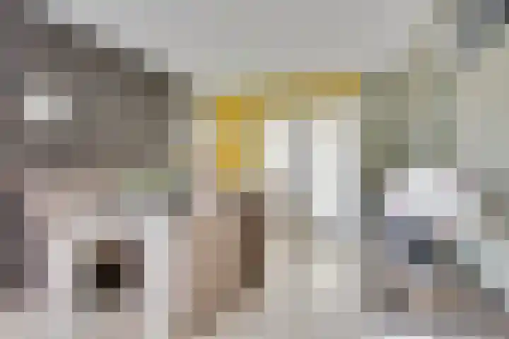 Reegreppel 78 Werkendam thumbnail 10