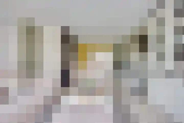 Reegreppel 78 Werkendam thumbnail 11