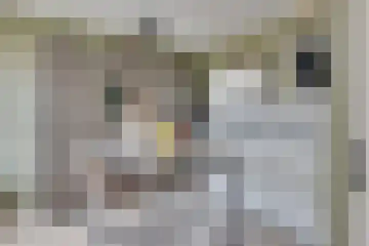 Reegreppel 78 Werkendam thumbnail 13