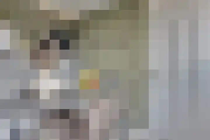 Reegreppel 78 Werkendam thumbnail 14
