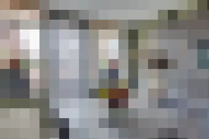 Reegreppel 78 Werkendam thumbnail 15