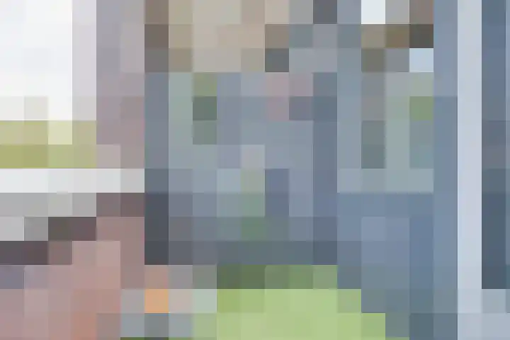 Reegreppel 78 Werkendam thumbnail 17