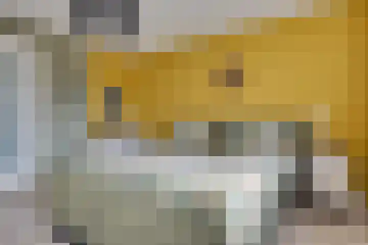 Reegreppel 78 Werkendam thumbnail 19