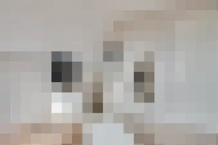 Reegreppel 78 Werkendam thumbnail 23