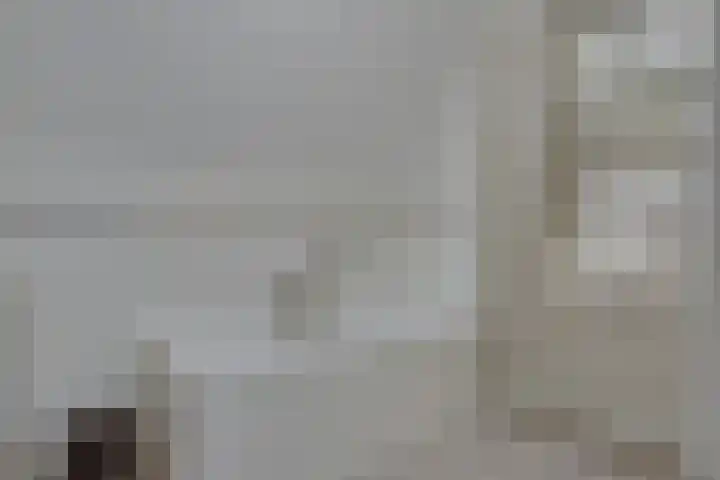 Reegreppel 78 Werkendam thumbnail 24