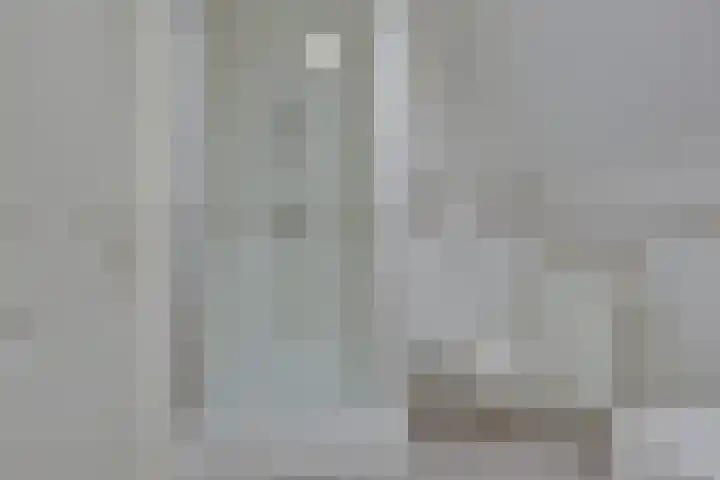 Reegreppel 78 Werkendam thumbnail 25
