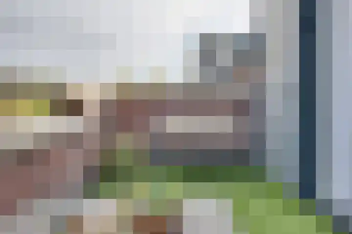 Reegreppel 78 Werkendam thumbnail 29