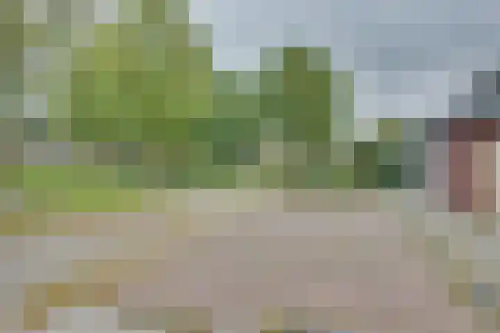 Reegreppel 78 Werkendam thumbnail 34