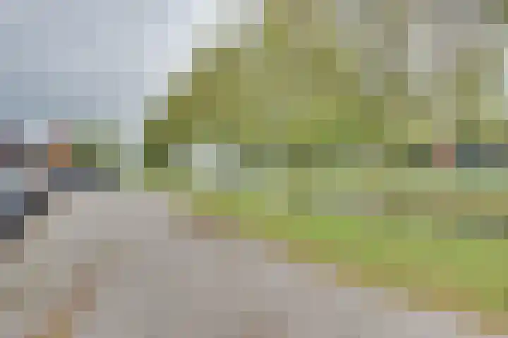 Reegreppel 78 Werkendam thumbnail 35