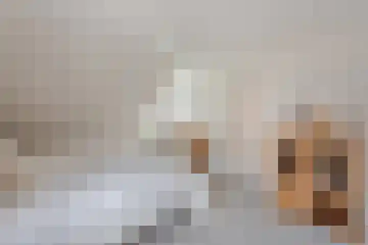 Reehorst 13 Luttenberg thumbnail 14