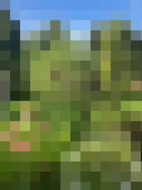 Reehorst 13 Luttenberg thumbnail 21